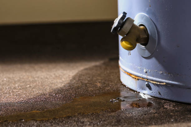 Best Professional water damage repair  in Rolla, MO