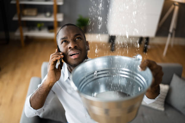 Best Water damage restoration company  in Rolla, MO
