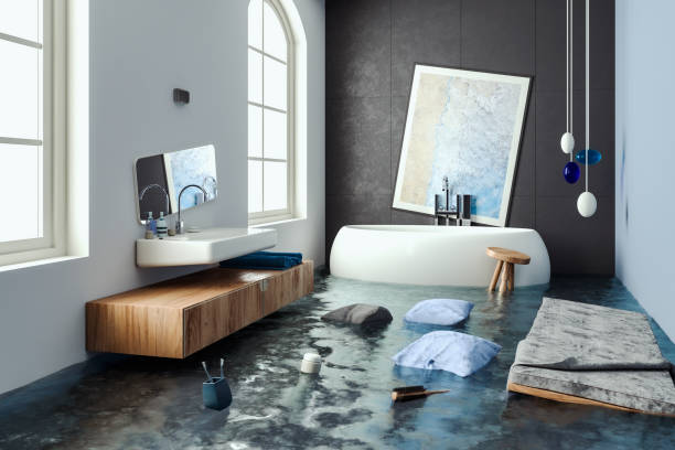 Best Water damage restoration experts  in Rolla, MO