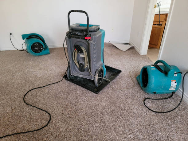 Best Water damage restoration cost  in Rolla, MO