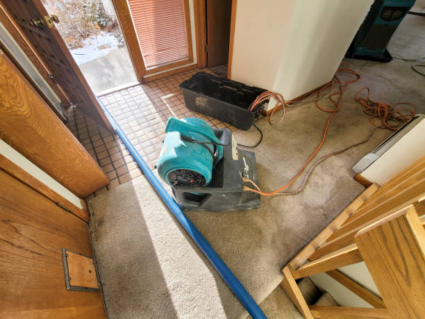 Best Flood restoration services  in Rolla, MO