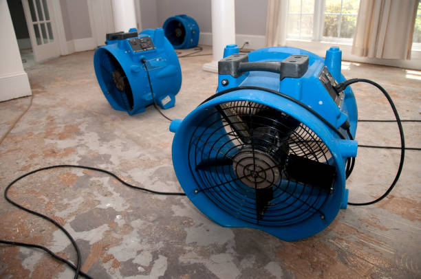 Best Water damage restoration near me  in Rolla, MO