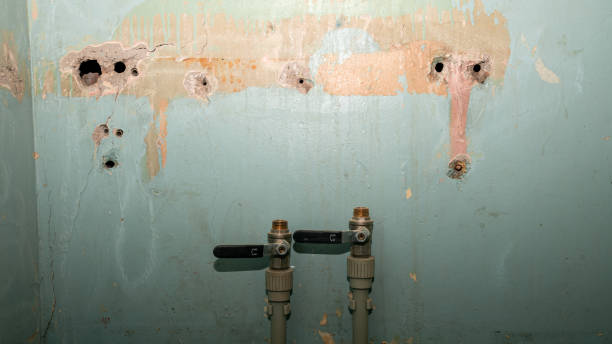 Reliable Rolla, MO Water damage restoration Solutions