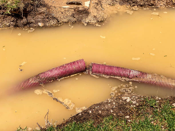 Best 24/7 water damage repair  in Rolla, MO